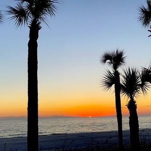 Meet your Posher, Kadi